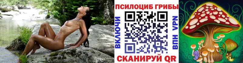 Псилоцибиновые грибы GOLDEN TEACHER  Слободской 